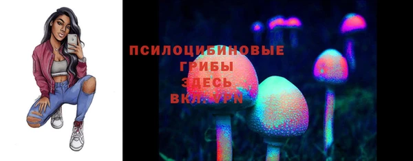 а пвп мука Алексеевка