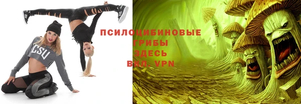 ешки Алексин
