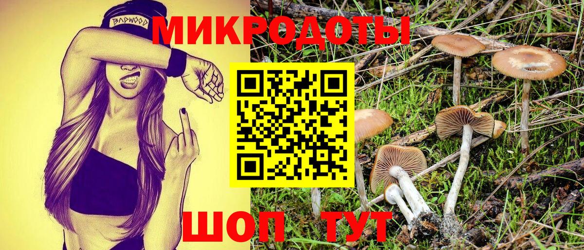 Тосно  Галлюциногенные грибы мухоморы  Вход с VPN 