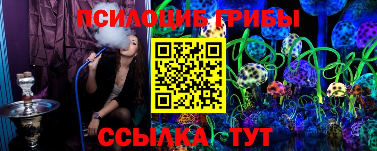 Галлюциногенные грибы Cubensis Тосно